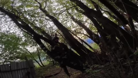 ohhh, Russian channels state this was scenes from Kursk, anyone can confirm