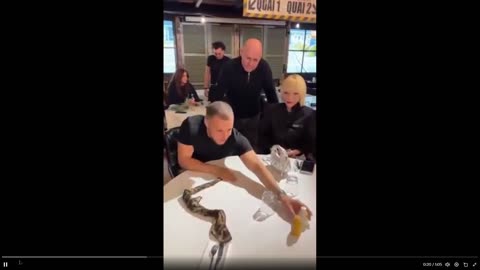 Impressive: This Magician turns a towel into a living snake freaking the lady out