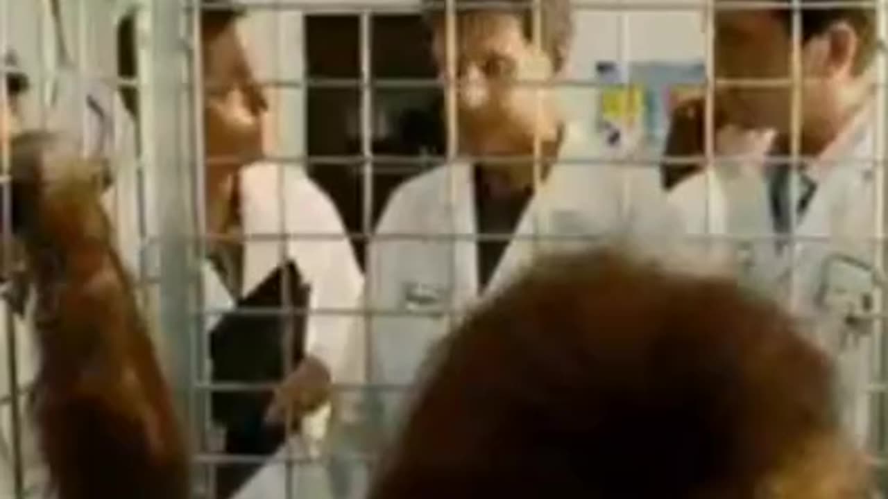 idiocracy achievement unlocked