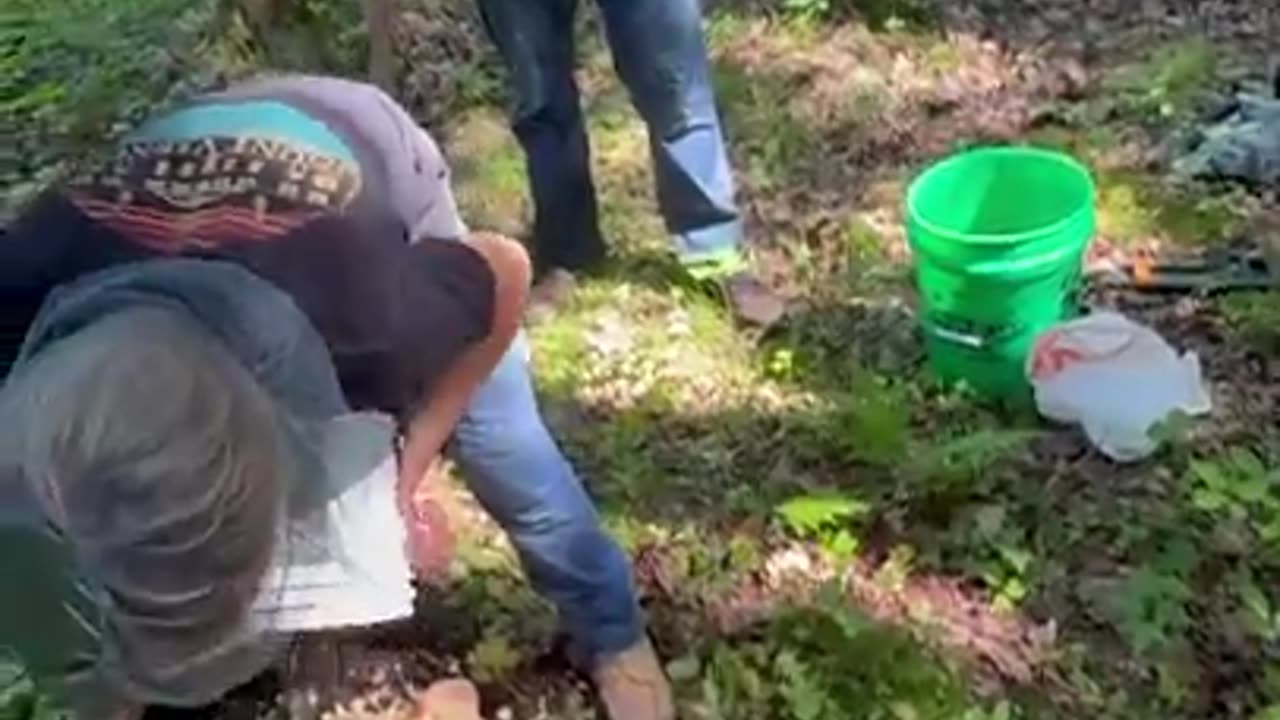 2025 Upper Peninsula Bear Hunting! Day one of baiting! #bearhunting