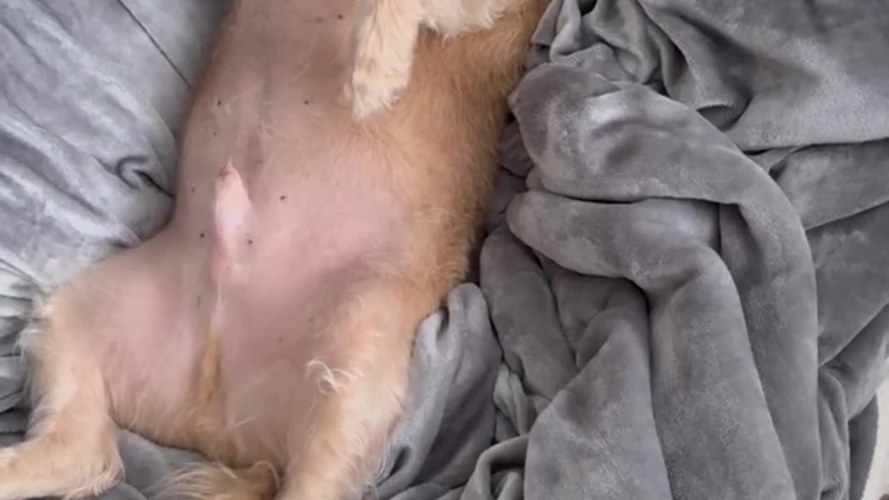 Berkeley in Paradise