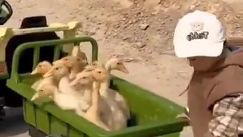 WORKING TOGETHER TO HAVE FUN