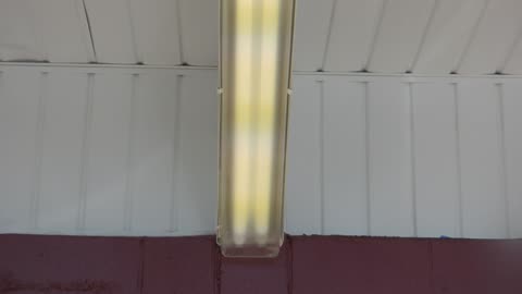 Fluorescent lights on restaurant overhang