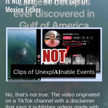 Fact Check: AI Video Of Giant 'Eclipse Octopus' In Gulf Of America Is NOT Real -- Not Mexico Either