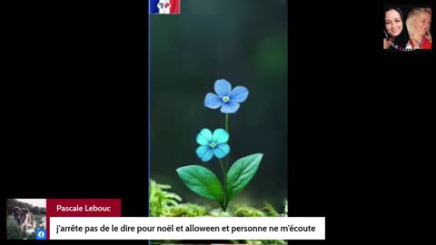 ApéroLiveLove avec Vous les Zzz'Amis 17/10/25 Les Zzz'Infos Bonheur de Leelou