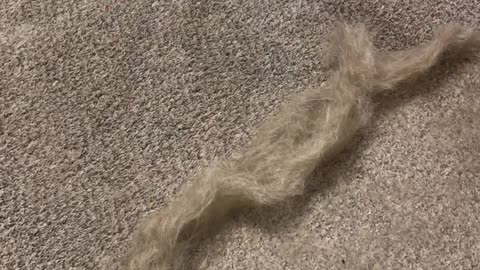 Hair Removal Broom
