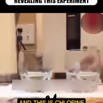 The Woman Disappeared After Revealing The Experiment. (CC)