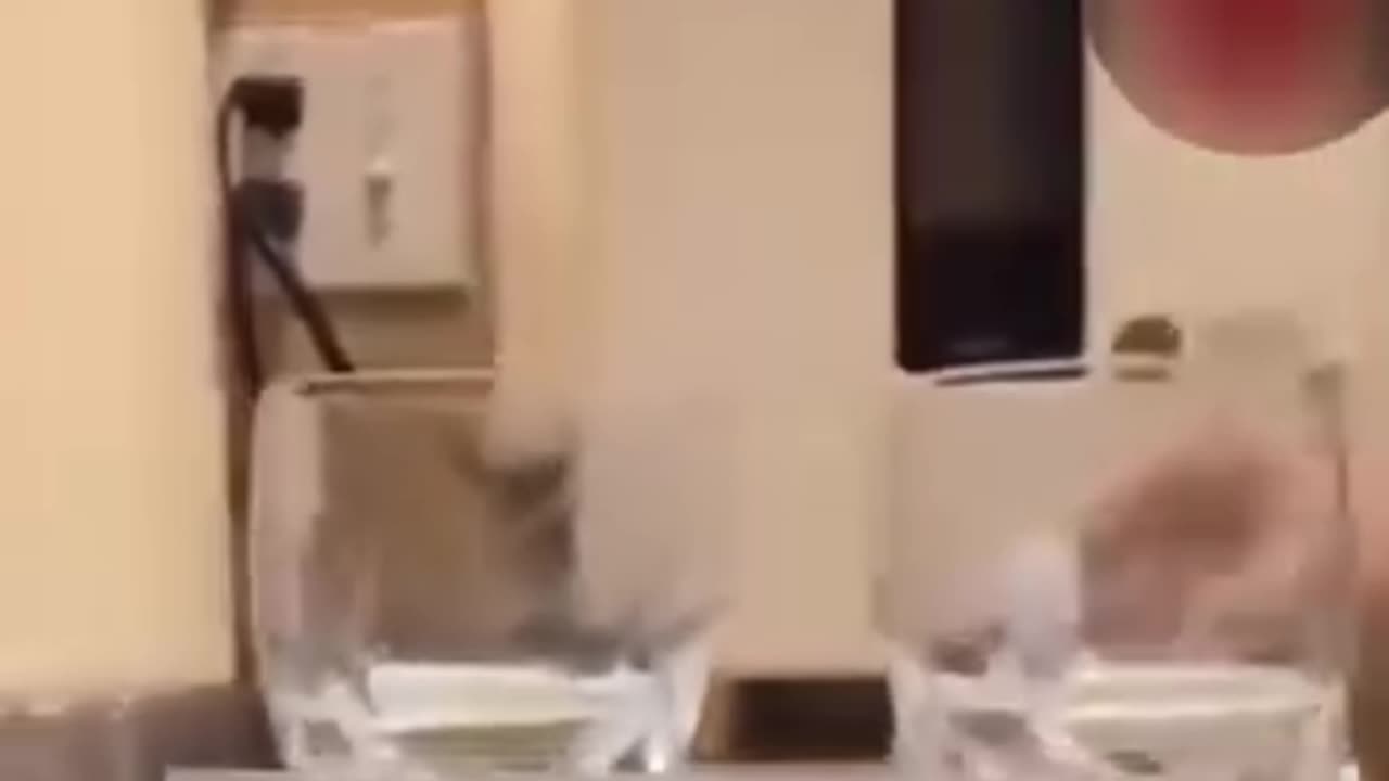 The Woman Disappeared After Revealing The Experiment. (CC)