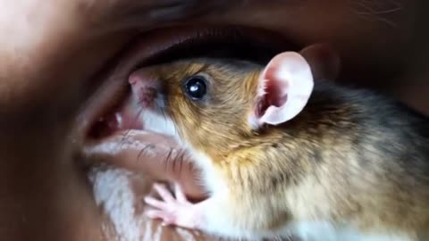 😨🤖 The Scary Side of Artificial Intelligence | TheHauntingHour