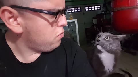 Pointless Pet Video 7 : Dinner Time (July 29, 2017)