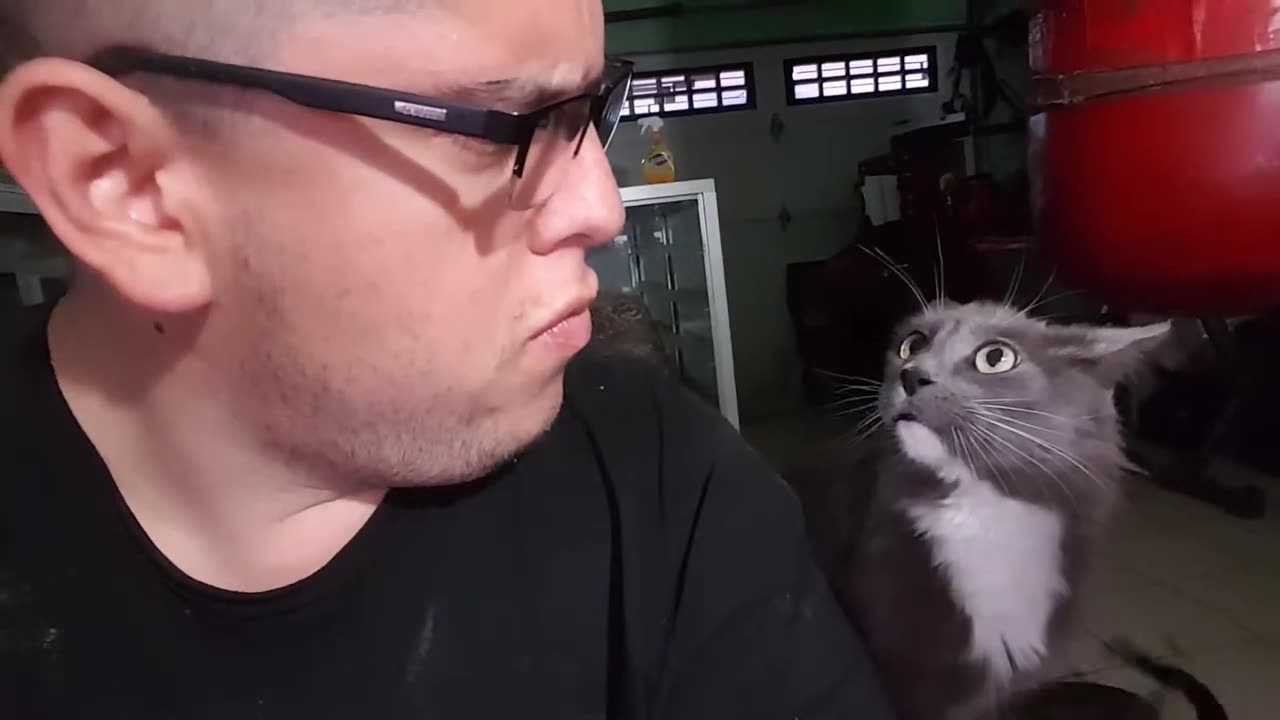 Pointless Pet Video 7 : Dinner Time (July 29, 2017)