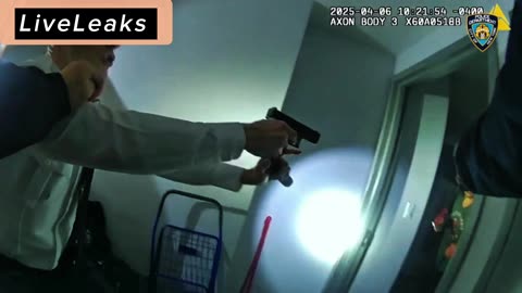 NYPD officers "Put Down" Man in Brooklyn after 4 children stabbed with meat cleaver