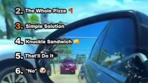 Ranking The Best Dog Surveillance Videos