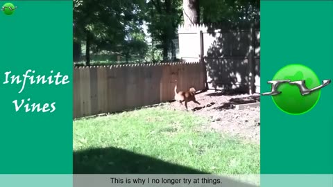 Try Not to Laugh