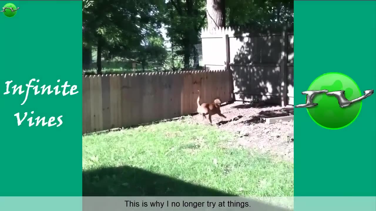 Try Not to Laugh