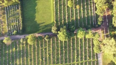 vôo drone