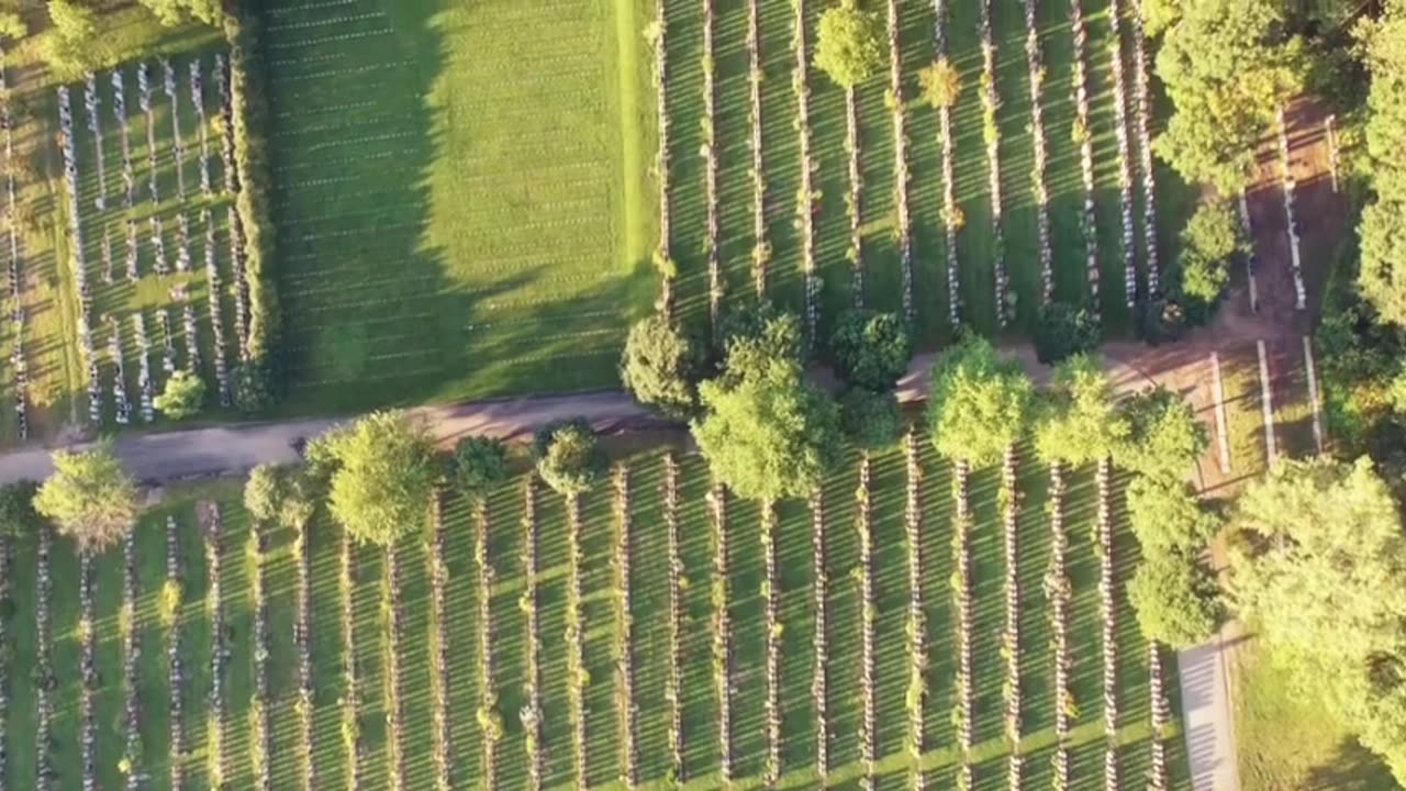 vôo drone