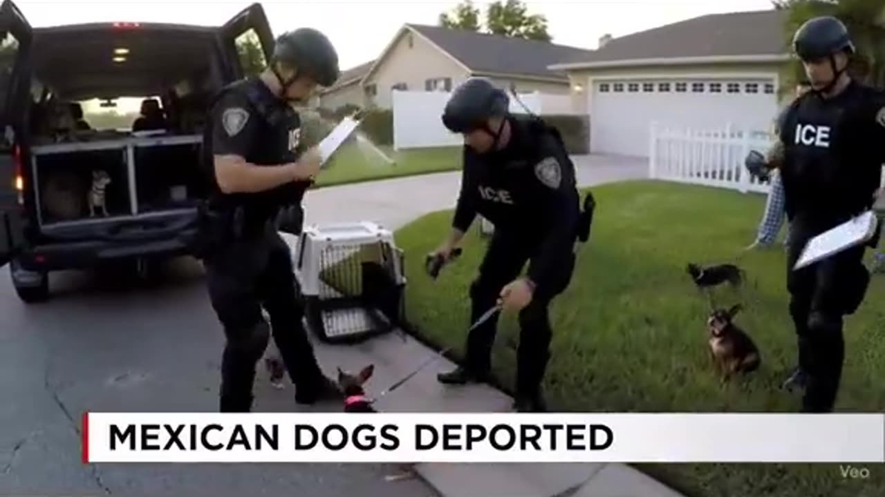 K9 Compliance
