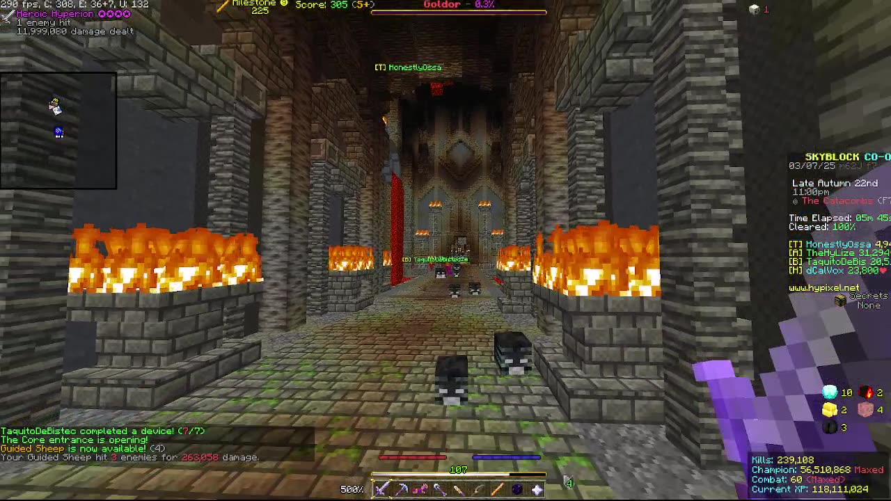 Skyblock FLOOR 7 [#1974]