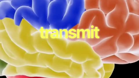 Concussion Management in Langley BC | Divine Care Physiotherapy