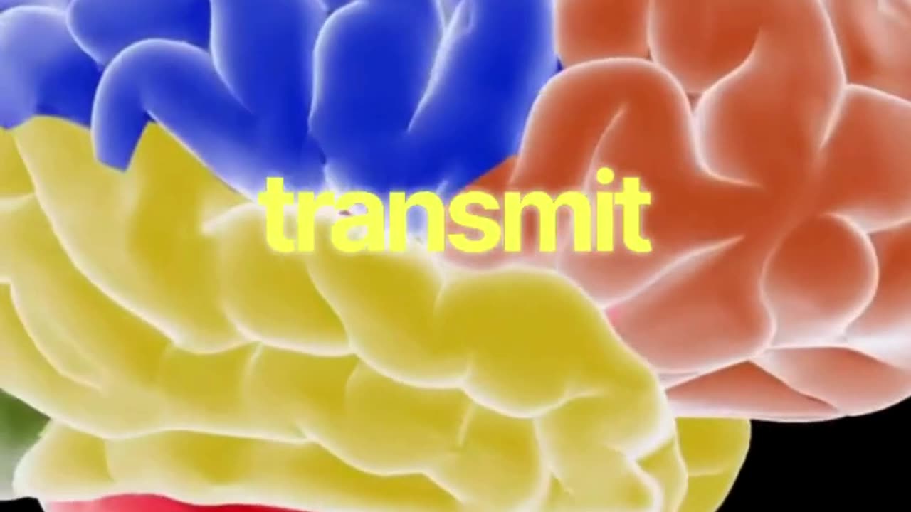 Concussion Management in Langley BC | Divine Care Physiotherapy