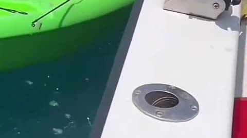 🌊🚤 Lost at Sea! Coast Guard Rescues Boy Just in Time! 🚁