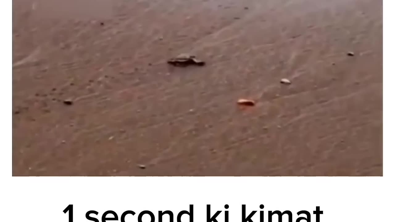 Respect The Time