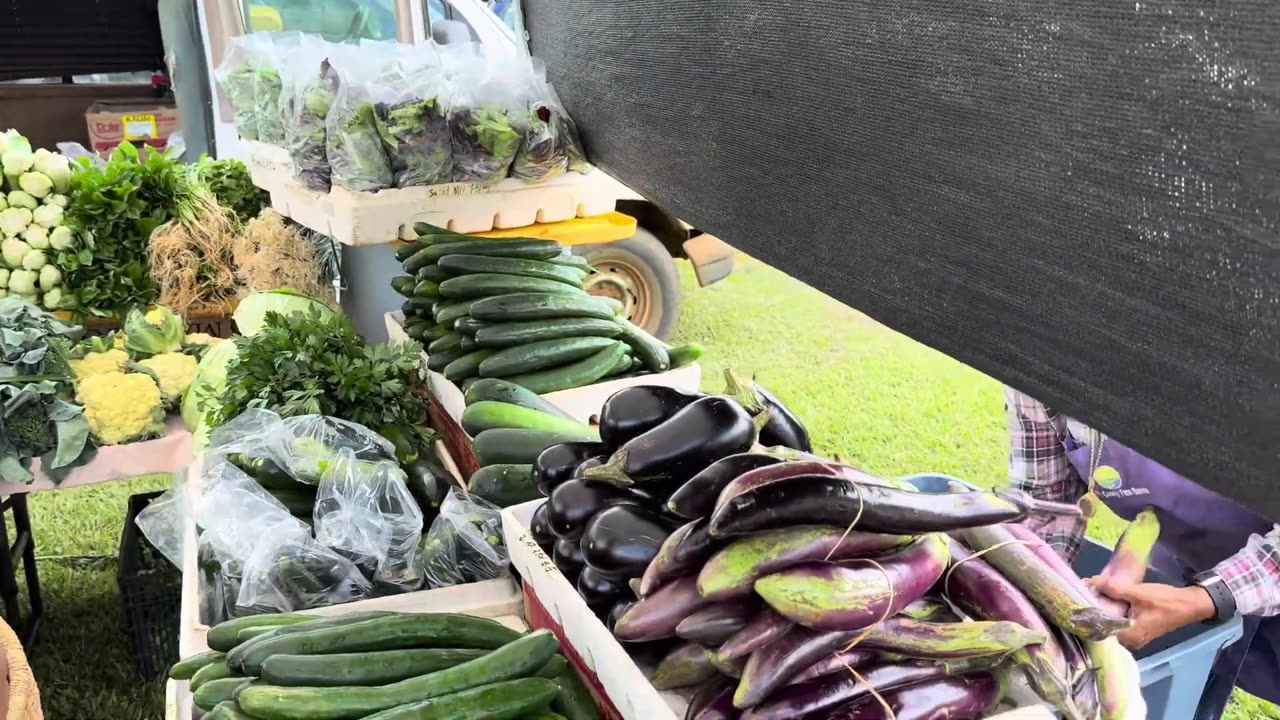 Paradise Farmers Market In Hawaii!