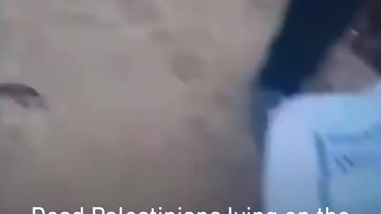 ‘If you raise your head they would shoot at you’