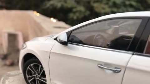 100$ Diecast Unboxing-2017 Hyundai Elantra(white) 118 Paudi model_part2