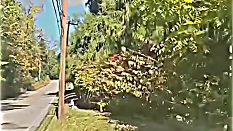 Masked Democrat Runs Over A Trump Sign & Gets Instant Karma 😂