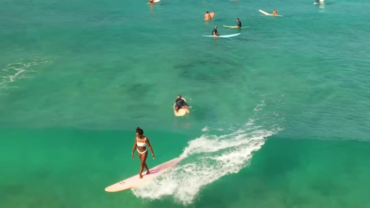Wild and Free