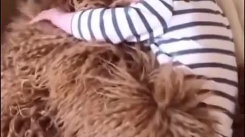 😂🐶 Cuteness Overload: Babies & Dogs Unite! | FunFM