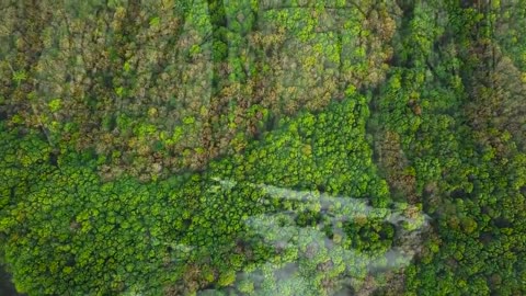 Meditation music | Peaceful sleep