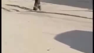 In Rivne, Local Ukrainian Man Chases Off TSK Enforcers — Then Runs After Them for More Fun 😂