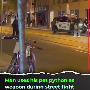 Man Uses Pet Python as Weapon During Street Fight in Toronto | Shocking Footage
