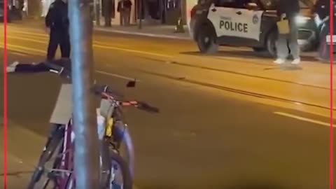 Man Uses Pet Python as Weapon During Street Fight in Toronto | Shocking Footage