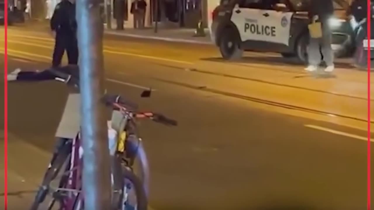 Man Uses Pet Python as Weapon During Street Fight in Toronto | Shocking Footage