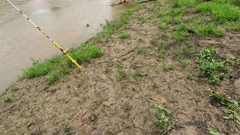 The rain, the wet beaver and the lost fish!