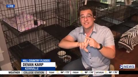 Kittens rescued from Texas Hill Country flood in need of fostering