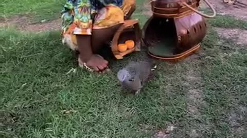 Birds and kids 😀