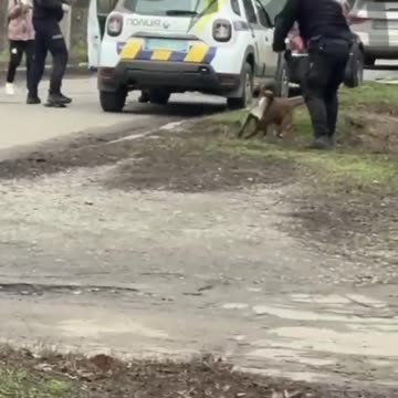 Police in Poltava, Ukraine, made the mistake of trying to forcibly mobilize a pit bull owner