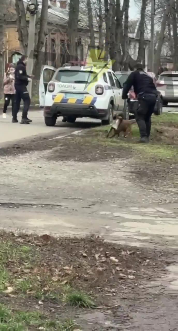 Police in Poltava, Ukraine, made the mistake of trying to forcibly mobilize a pit bull owner