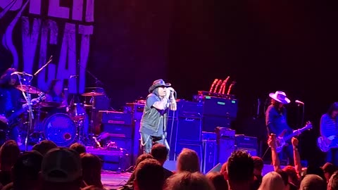 Faster pussycat ( live)