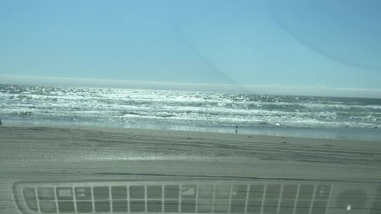 Beach Cruise
