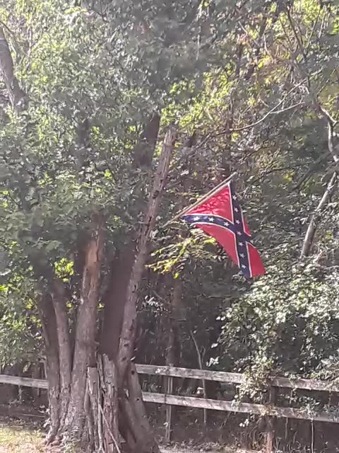Pot plants & Rebel flags