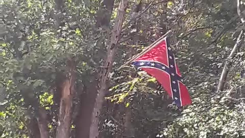 Pot plants & Rebel flags