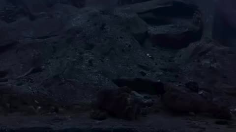 Engineer after their first coffee of the day