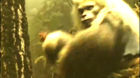 Have you ever seen such a strange animal before