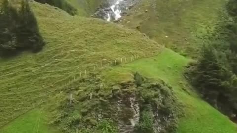 Nature videos